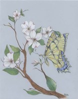 Dogwood Butterfly Fine Art Print