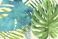 Rainforest Canopy Fine Art Print