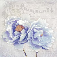 Bonjour Belle Fine Art Print