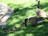 Family Time Fine Art Print