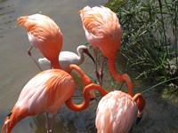 It's Here Somewhere Fine Art Print