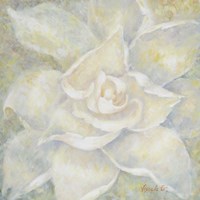 E-Motion Gardenia Fine Art Print