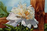 White Flower Fine Art Print