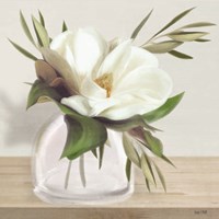 Vintage Magnolia Bloom Fine Art Print
