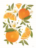 Citrus Orange Botanical Framed Print