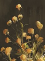 Golden Yarrow Fine Art Print