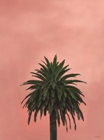 Pink Palm Fine Art Print
