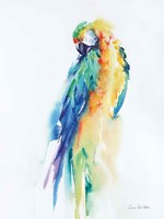 Colorful Parrots II Fine Art Print