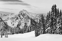 Tatoosh Range BW Fine Art Print