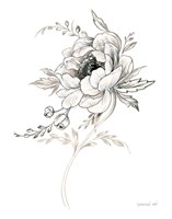 Sketchbook Garden VIII BW Fine Art Print