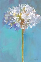 Modern Floral III Framed Print