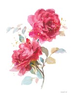 Bold Roses II Fine Art Print