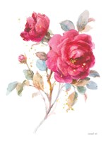 Bold Roses I Fine Art Print