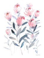 All the Protea Fine Art Print