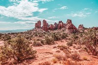 What a View III Fine Art Print