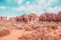 What a View I Fine Art Print