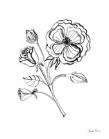 Joyful Peonies III Fine Art Print