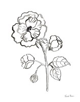 Joyful Peonies II Fine Art Print