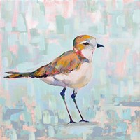 Coastal Plover III Neutral Fine Art Print