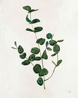 Botanical Study II Greenery Fine Art Print