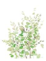 Spring Greens Fine Art Print