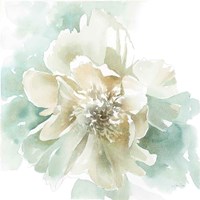 Poetic Blooming II Fine Art Print