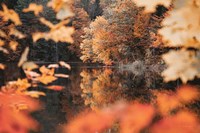 Autumn Reflections Fine Art Print