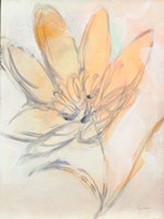 Flower Loops  II Fine Art Print