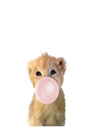 Baby Lion Bubble Gum Fine Art Print