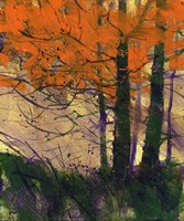 Flame Fine Art Print