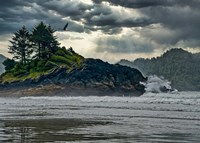 Before The Storm Fine Art Print