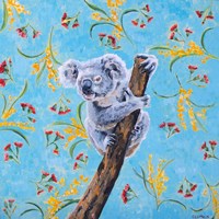 Koala Fine Art Print