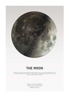 Moon Light Fine Art Print