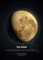 The Moon Fine Art Print