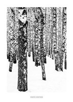 White Edition 1 Fine Art Print