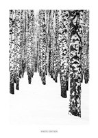 White Edition 2 Fine Art Print