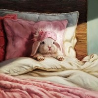 Bed Hare Fine Art Print