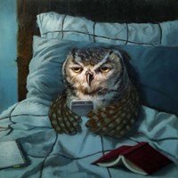 Night Owl Framed Print