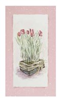 Tulips Fine Art Print