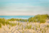 Monomoy View Fine Art Print