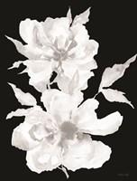 Black & White Flowers I Fine Art Print