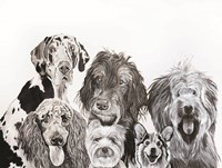 Lots of Dogs Fine Art Print