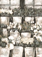 Rows of Flowers Fine Art Print