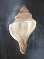 Conch Shell Blues I Fine Art Print