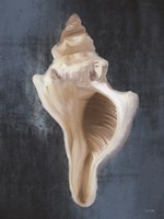Conch Shell Blues II Fine Art Print
