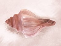 Conch Shell Blush I Fine Art Print