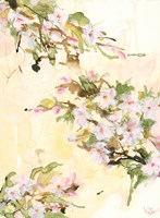 Cherry Blossoms Fine Art Print