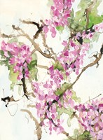 Wisteria in Bloom Fine Art Print