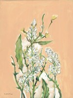 Spring Flora Fine Art Print