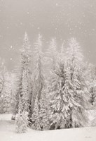 Snowy Lava Mountain Fine Art Print